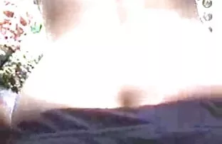 XXX گربه فیلم سکسی کوتاه کم حجم در کفش